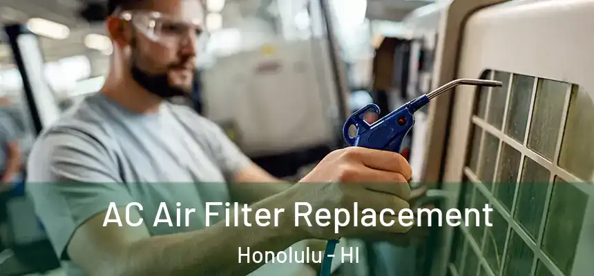  AC Air Filter Replacement Honolulu - HI