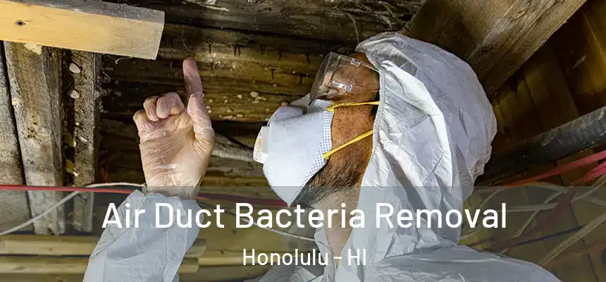 Air Duct Bacteria Removal Honolulu - HI