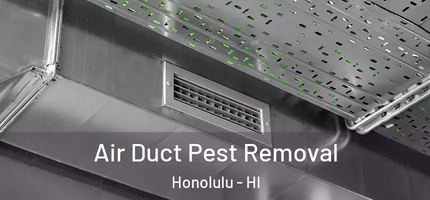 Air Duct Pest Removal Honolulu - HI