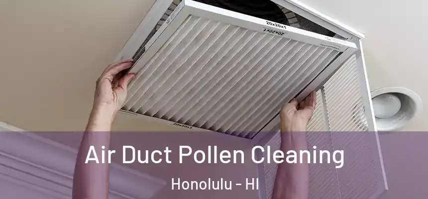 Air Duct Pollen Cleaning Honolulu - HI