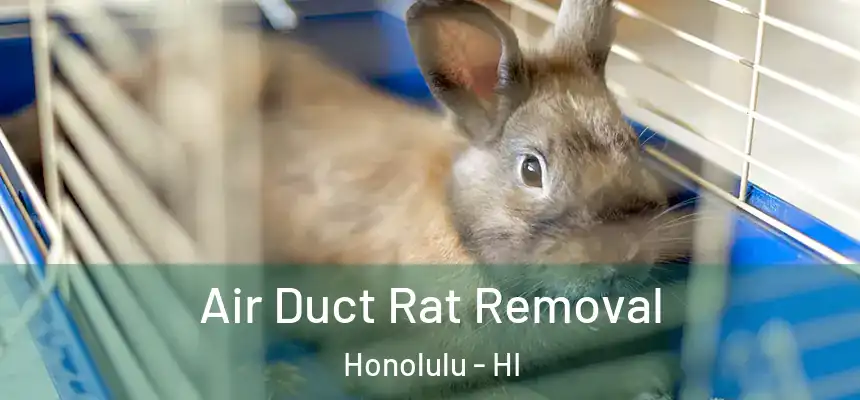 Air Duct Rat Removal Honolulu - HI