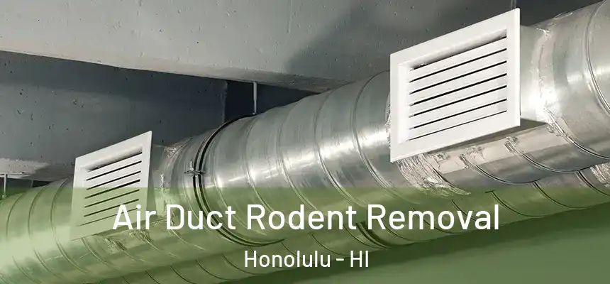 Air Duct Rodent Removal Honolulu - HI