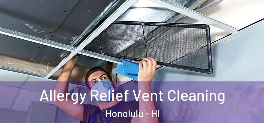 Allergy Relief Vent Cleaning Honolulu - HI