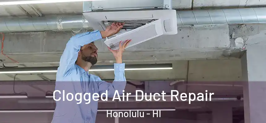Clogged Air Duct Repair Honolulu - HI
