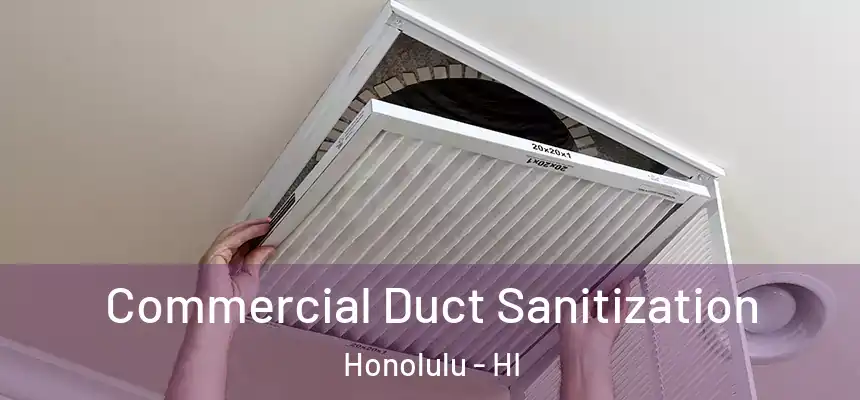 Commercial Duct Sanitization Honolulu - HI