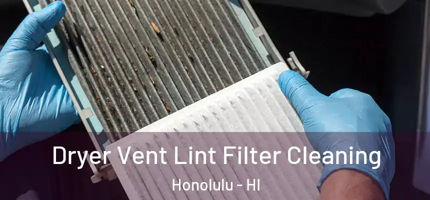 Dryer Vent Lint Filter Cleaning Honolulu - HI