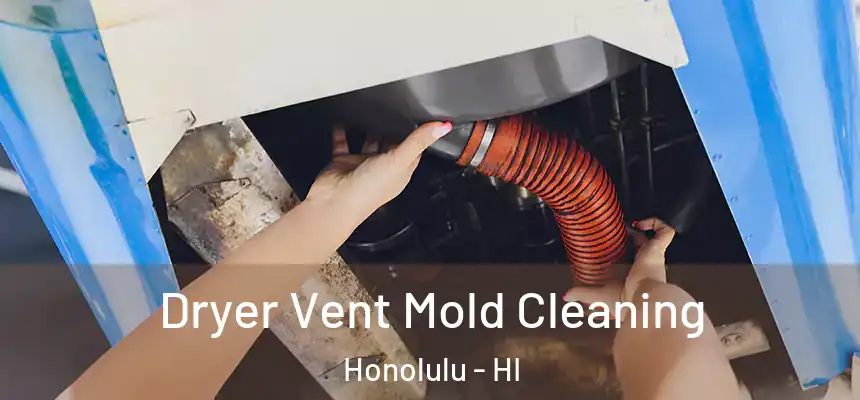 Dryer Vent Mold Cleaning Honolulu - HI
