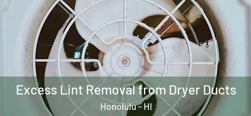  Excess Lint Removal from Dryer Ducts Honolulu - HI