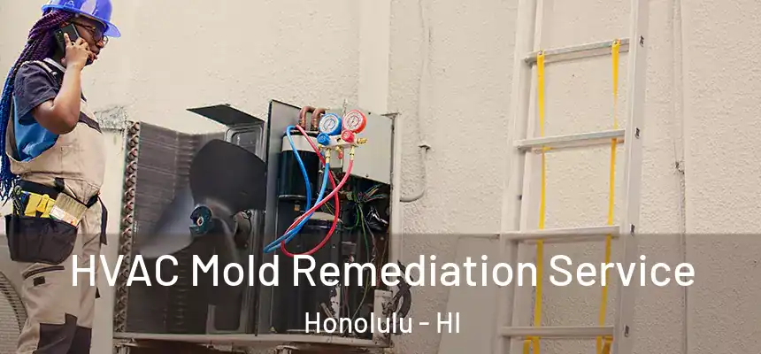 HVAC Mold Remediation Service Honolulu - HI