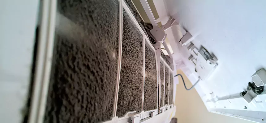 Preventive Air Duct Bacteria Removal in Honolulu