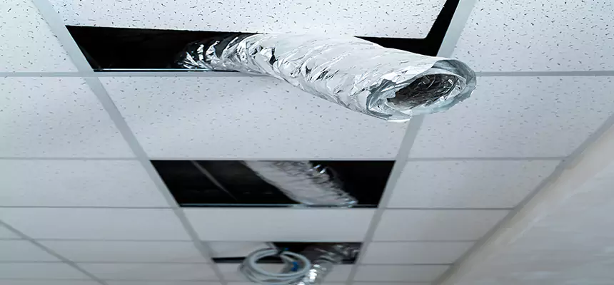 Our Air Duct Pet Hair Removal Services in Honolulu, HI