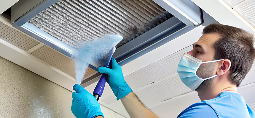 Proactive Dryer Vent & Auxiliary Duct Pollen Cleanup in Honolulu, HI