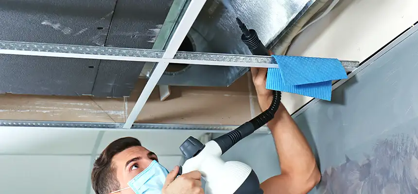 Our Air Duct Rodent Removal Services in Honolulu, HI