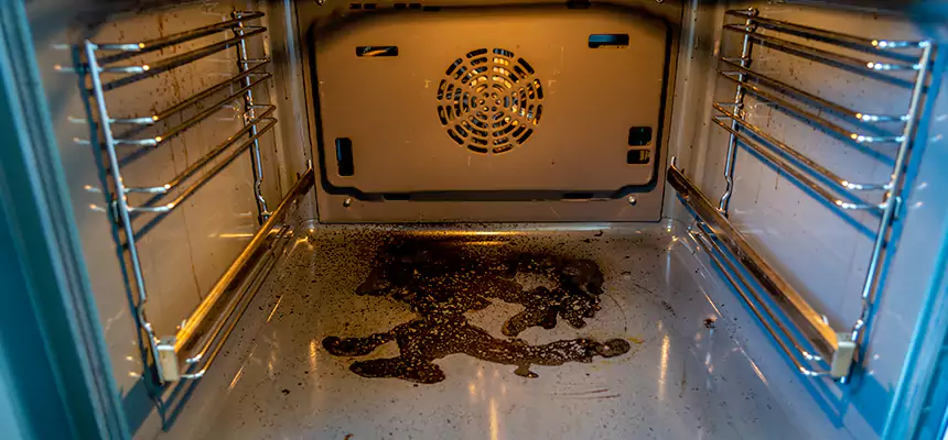 Our Dryer Vent Mold Cleaning Services in Honolulu, HI