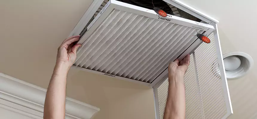 Our Insect Removal from Air Ducts Services in Honolulu, HI