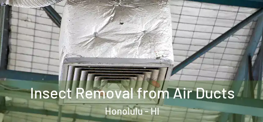  Insect Removal from Air Ducts Honolulu - HI
