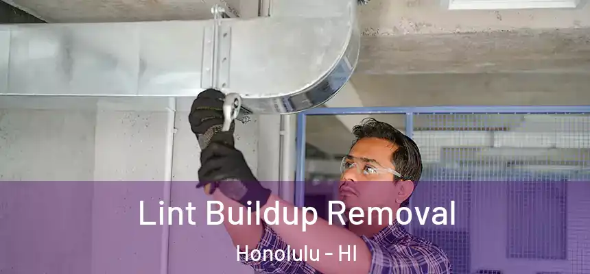 Lint Buildup Removal Honolulu - HI