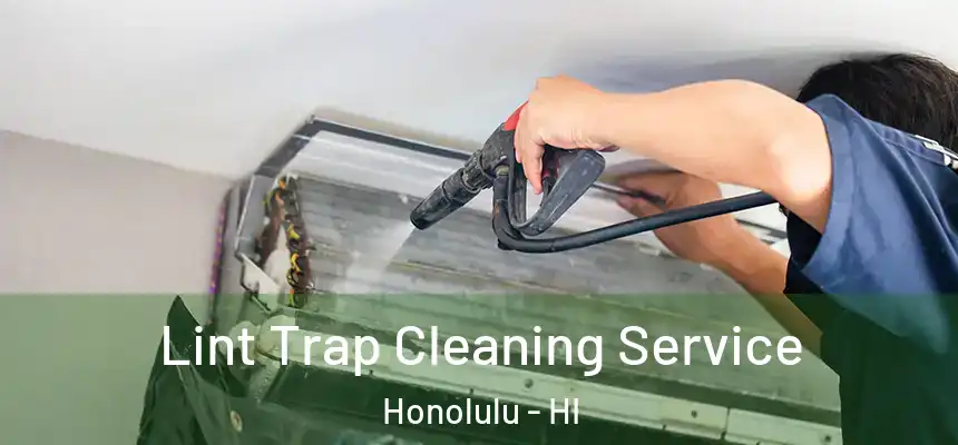 Lint Trap Cleaning Service Honolulu - HI
