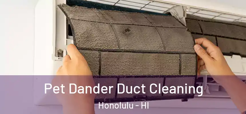  Pet Dander Duct Cleaning Honolulu - HI