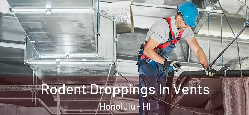  Rodent Droppings In Vents Honolulu - HI