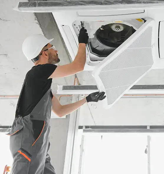 About Air Duct Rodent Removal in Honolulu, HI