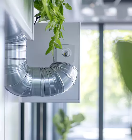 Professional Eco-Safe Dryer Vent Cleaning in Honolulu, HI