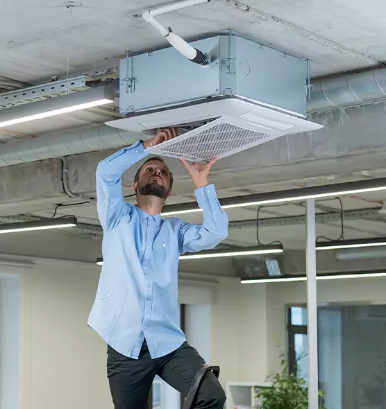Advanced Rodent Droppings In Vents in Honolulu, HI