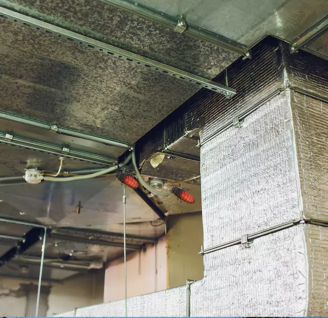 Why Homeowners & Businesses Trust Us in Honolulu, HI?