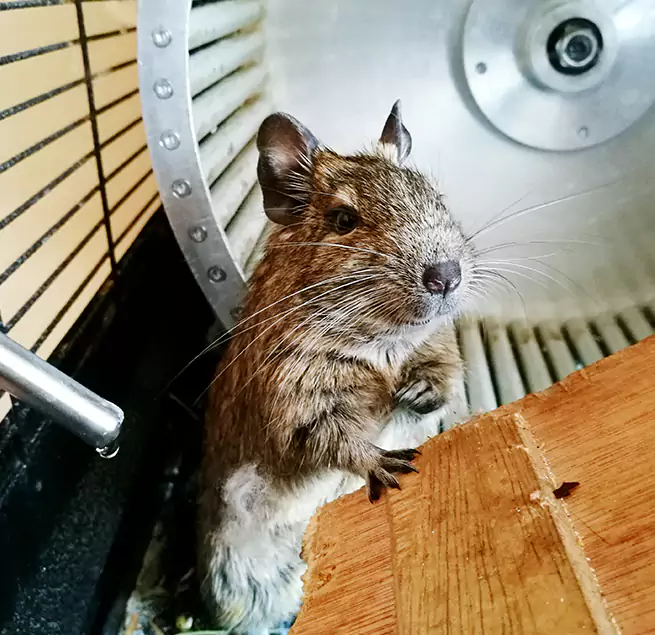 Why Homeowners & Businesses Trust Us Honolulu, HI