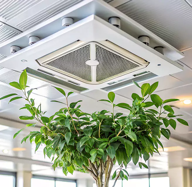 Why Homeowners & Businesses Trust Us in Honolulu, HI?