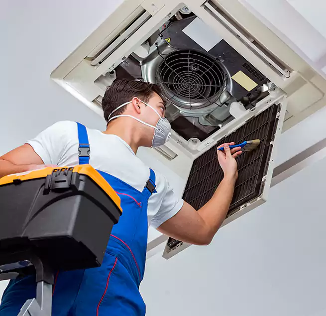 Why Homeowners & Businesses Trust Us in Honolulu, HI?