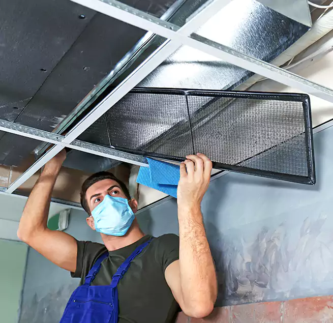 Why Homeowners Businesses Trust Us in Honolulu, HI